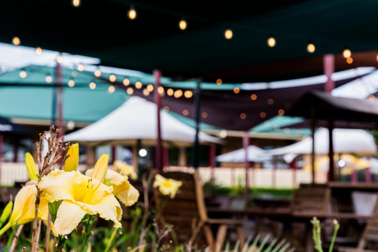 The Bearded Dragon Boutique Hotel タンボリーン・マウンテン エクステリア 写真
