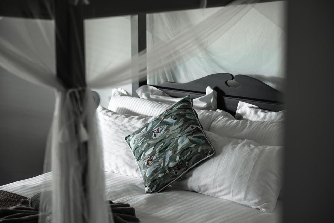 The Bearded Dragon Boutique Hotel タンボリーン・マウンテン エクステリア 写真